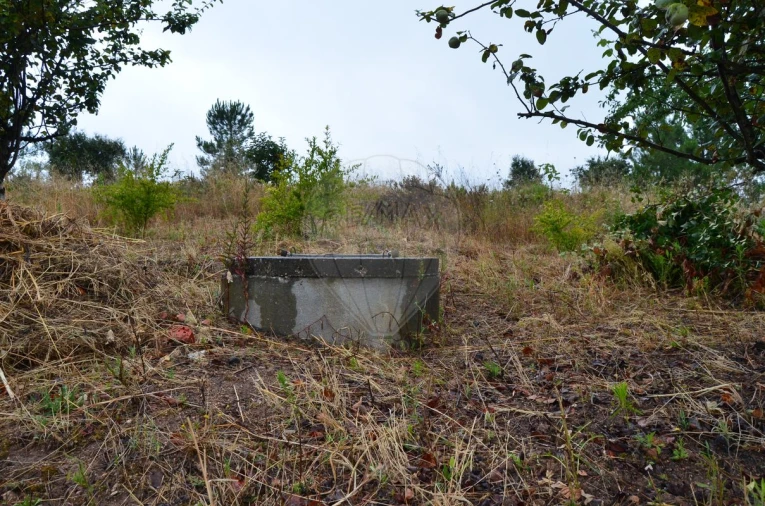 Terreno para Venda em Olhalvo Foto 9