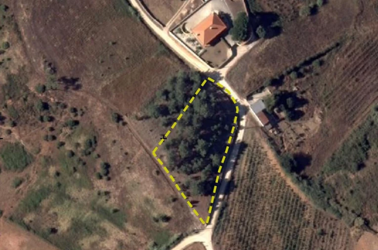 Terreno para Venda em Olhalvo Foto 15