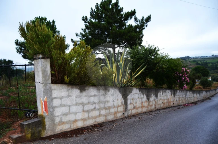 Terreno para Venda em Olhalvo Foto 4