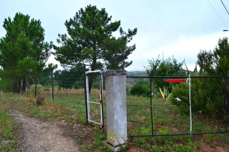 Terreno para Venda em Olhalvo Foto 3
