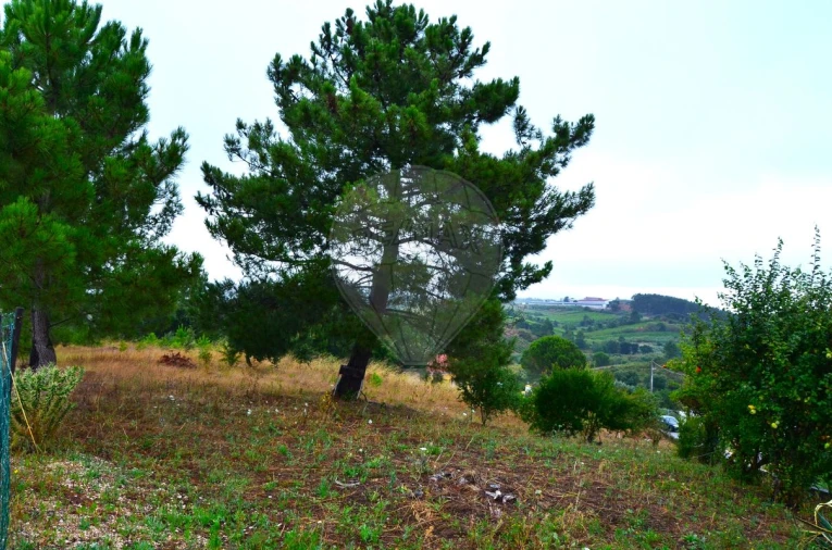 Terreno para Venda em Olhalvo Foto 10
