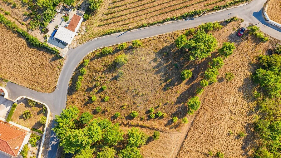 Terreno para Venda em Olhalvo Foto 2