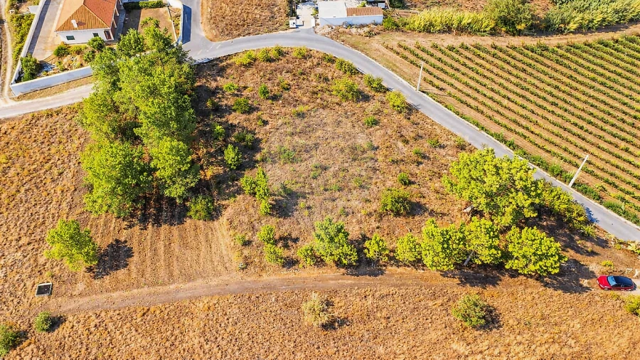 Terreno para Venda em Olhalvo Foto 5