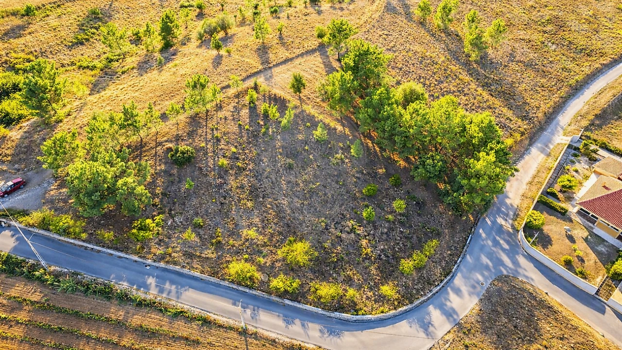 Terreno para Venda em Olhalvo Foto 1