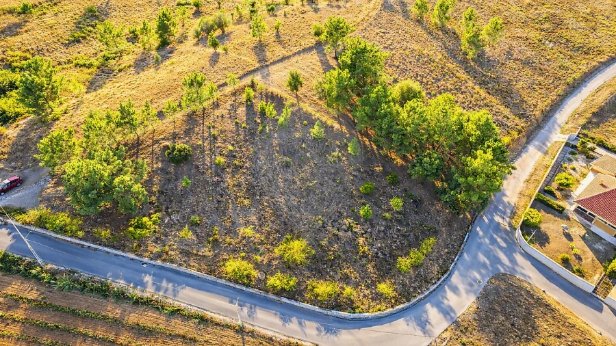 Terreno para Venda em Olhalvo