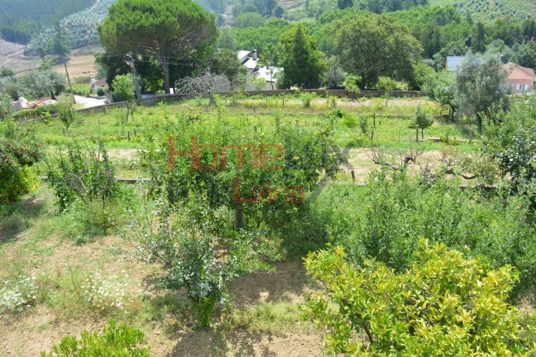 Moradia T2 para Venda em Macinhata do Vouga Foto 25