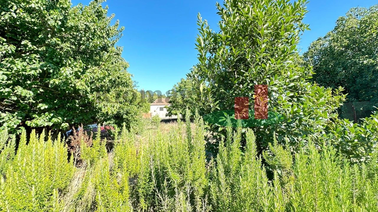 Moradia T3 para Venda em Asseiceira Foto 64