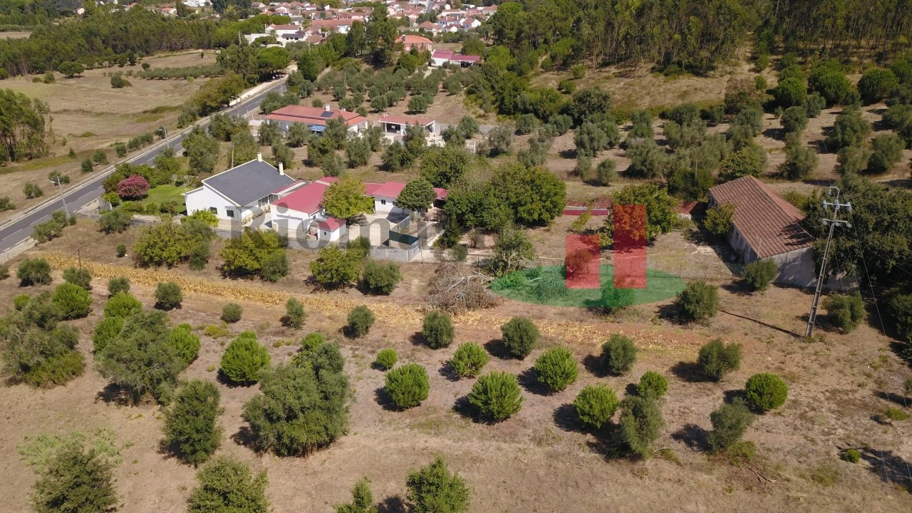 Moradia T3 para Venda em Asseiceira Foto 82