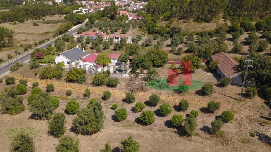 Moradia T3 para Venda em Asseiceira Foto 82