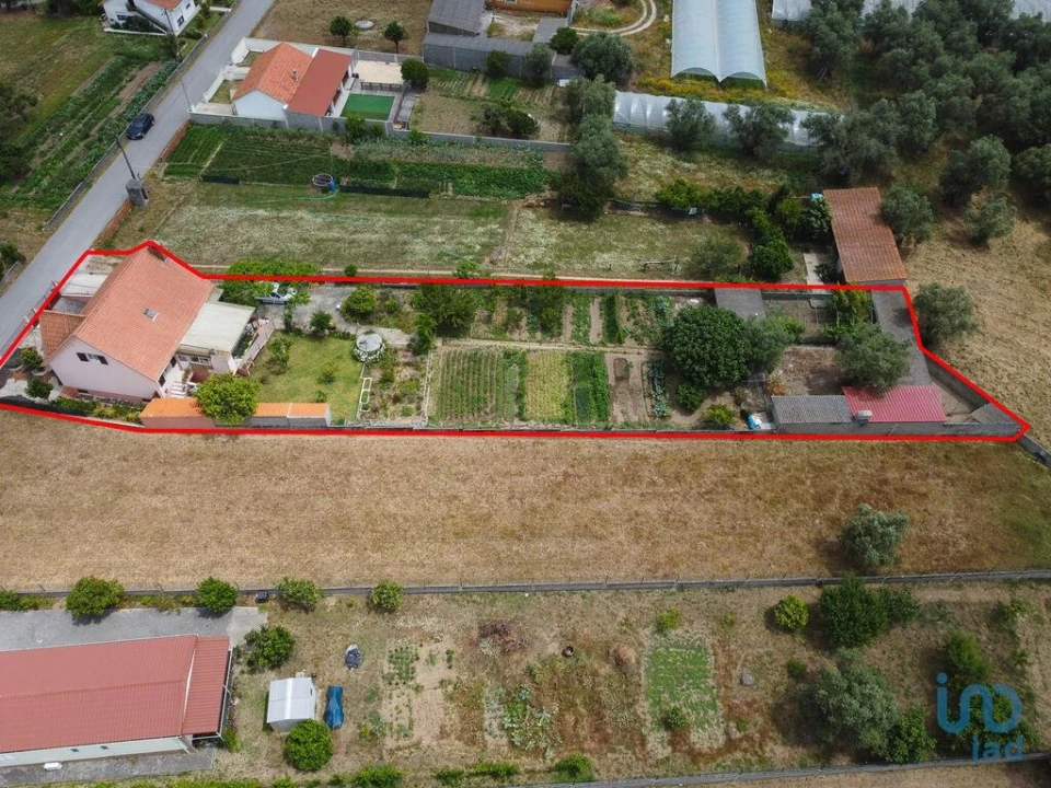 Moradia T5 para Venda em Souto da Carpalhosa e Ortigosa Foto 6