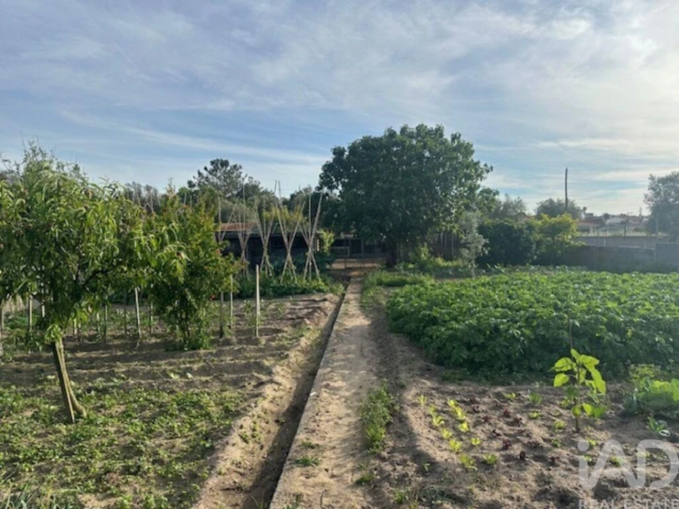 Moradia T5 para Venda em Souto da Carpalhosa e Ortigosa Foto 28
