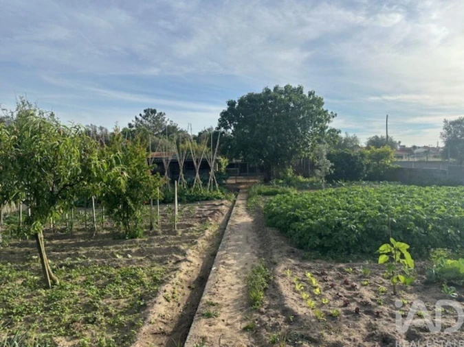 Moradia T5 para Venda em Souto da Carpalhosa e Ortigosa Foto 28
