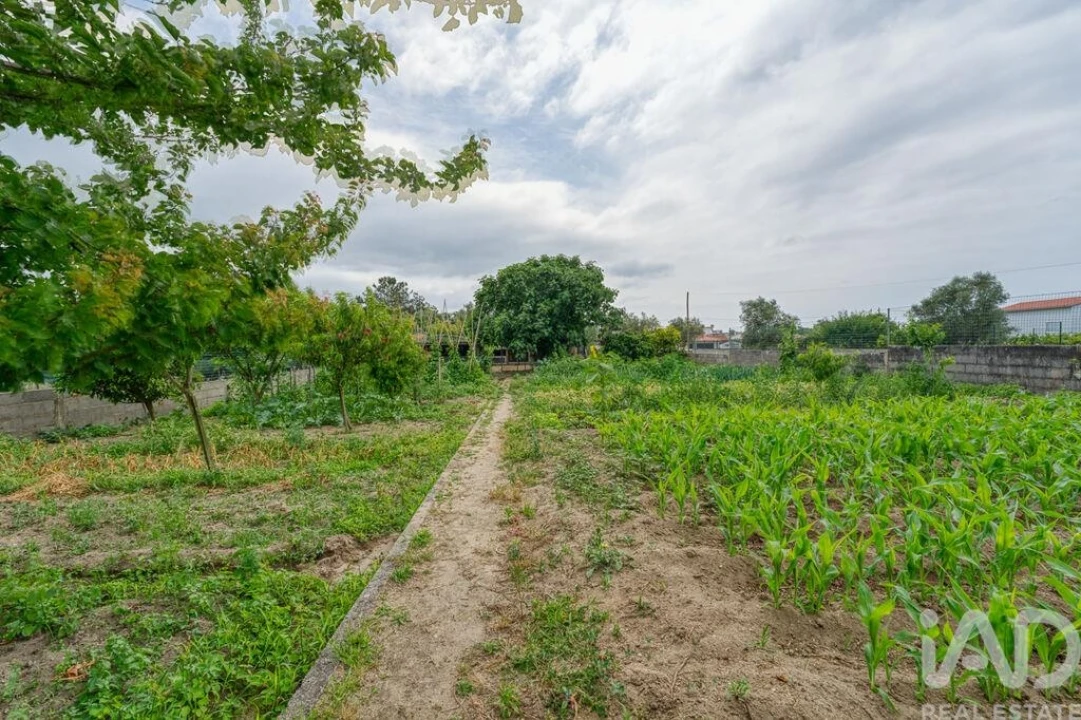 Moradia T5 para Venda em Souto da Carpalhosa e Ortigosa Foto 23