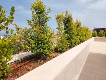 Apartamento T2 para Venda em São Martinho