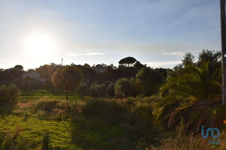 Terreno para Venda em Nossa Senhora do Pranto Foto 10