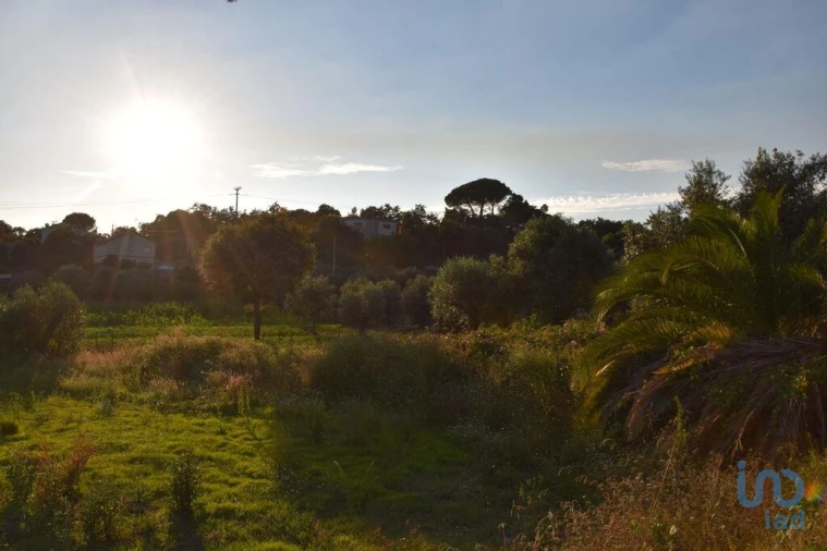 Terreno para Venda em Nossa Senhora do Pranto Foto 11