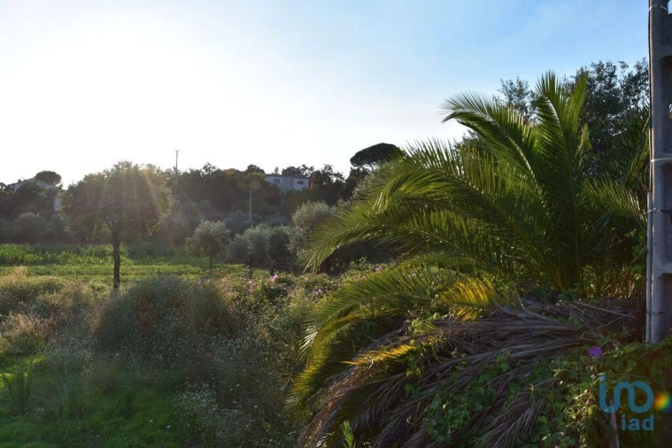 Terreno para Venda em Nossa Senhora do Pranto Foto 5