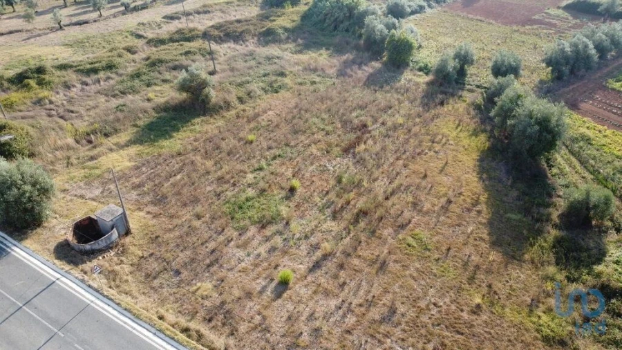 Terreno para Venda em Nossa Senhora do Pranto