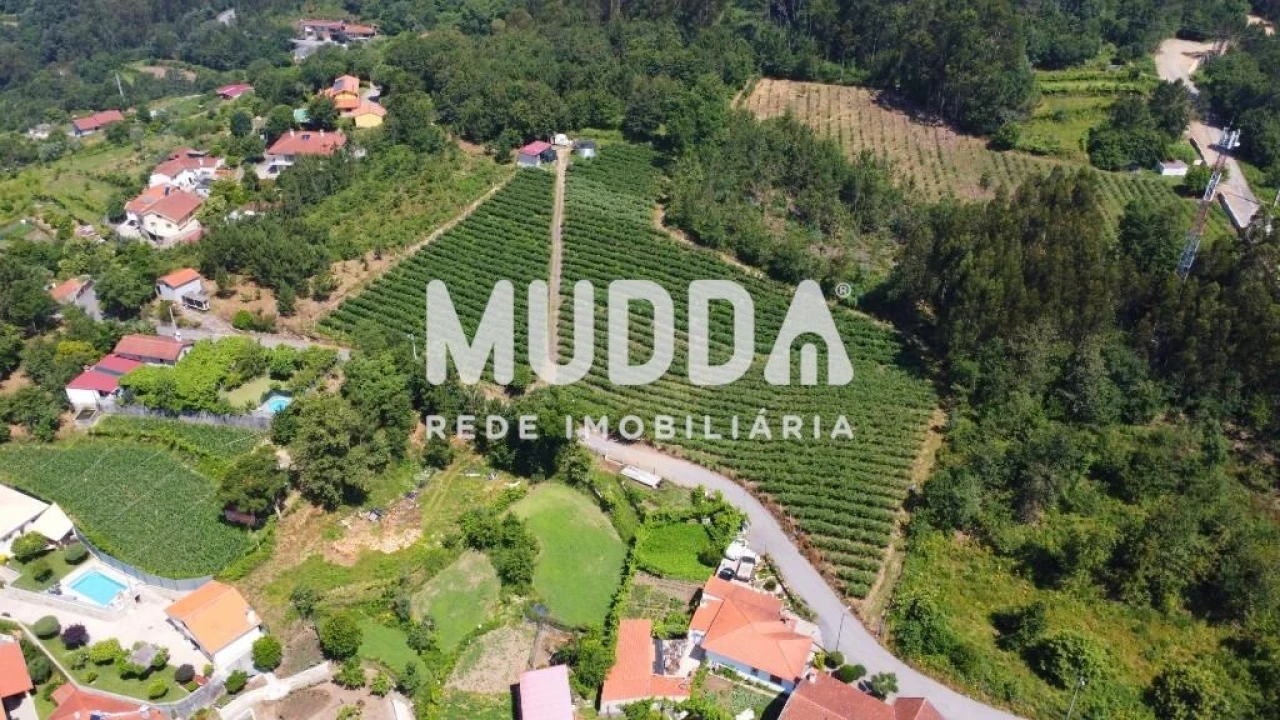 Negócio para Trespasse em Rocas do Vouga Foto 2