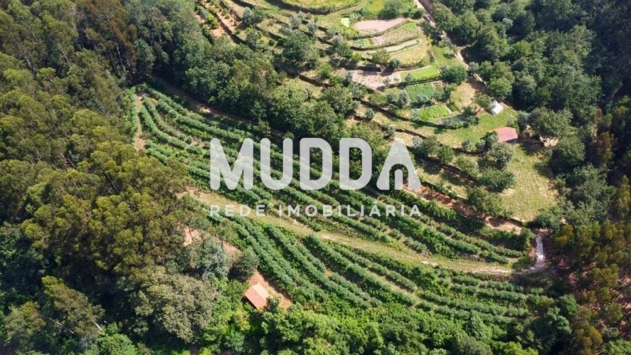 Negócio para Trespasse em Rocas do Vouga Foto 7
