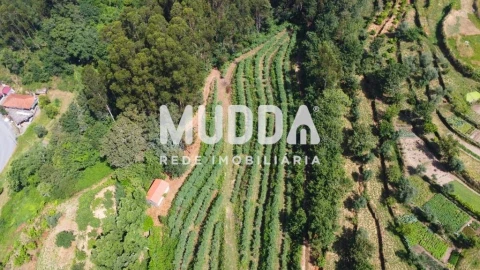 Negócio para Trespasse em Rocas do Vouga