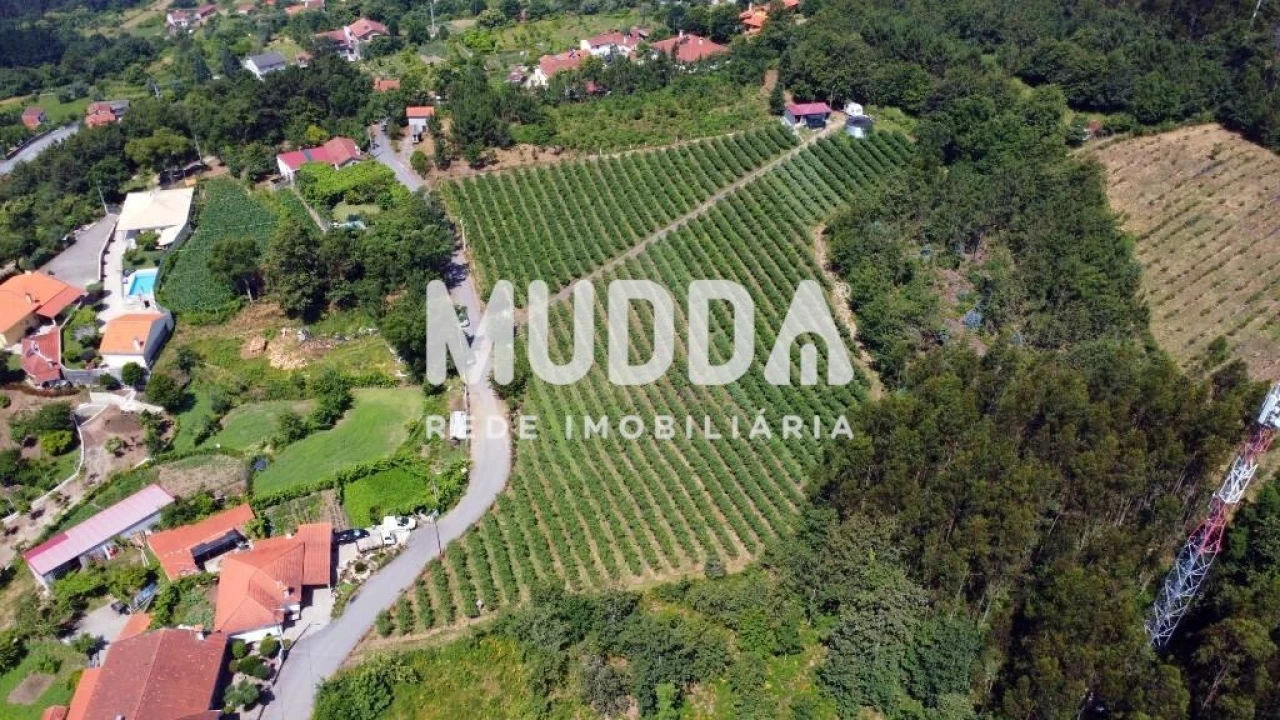 Negócio para Trespasse em Rocas do Vouga Foto 12