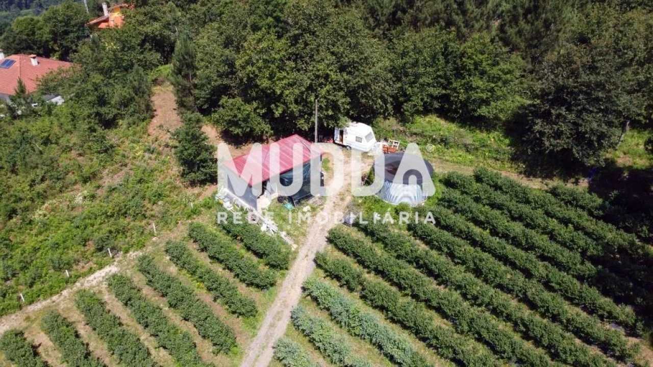 Negócio para Trespasse em Rocas do Vouga Foto 3