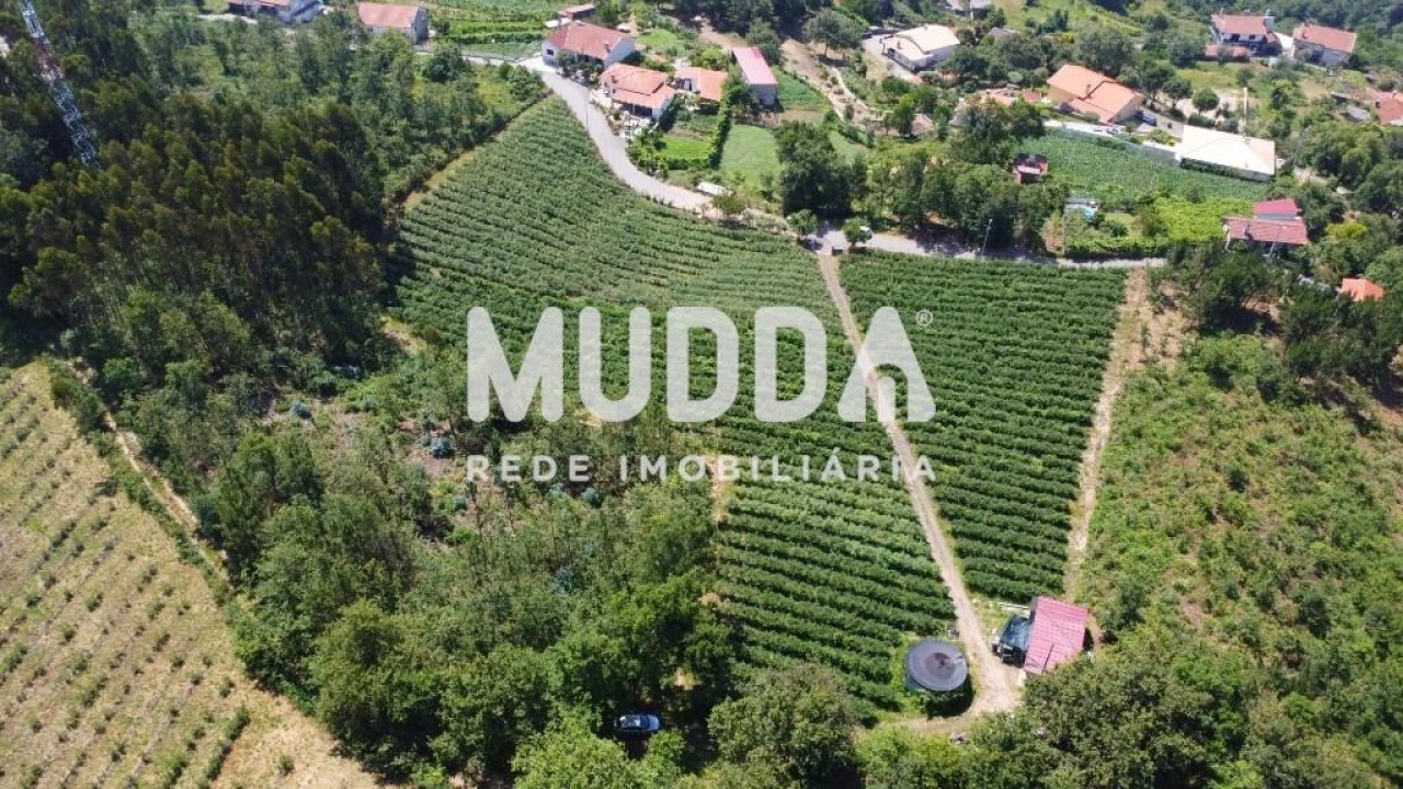 Negócio para Trespasse em Rocas do Vouga Foto 5