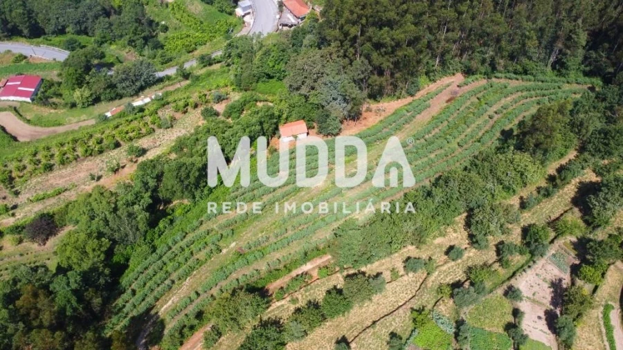 Negócio para Trespasse em Rocas do Vouga Foto 9