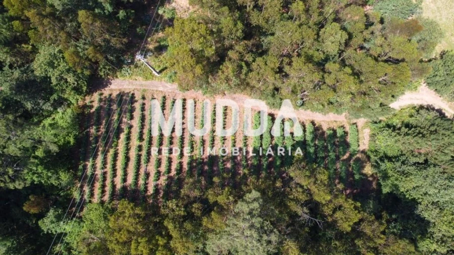 Negócio para Trespasse em Rocas do Vouga Foto 11