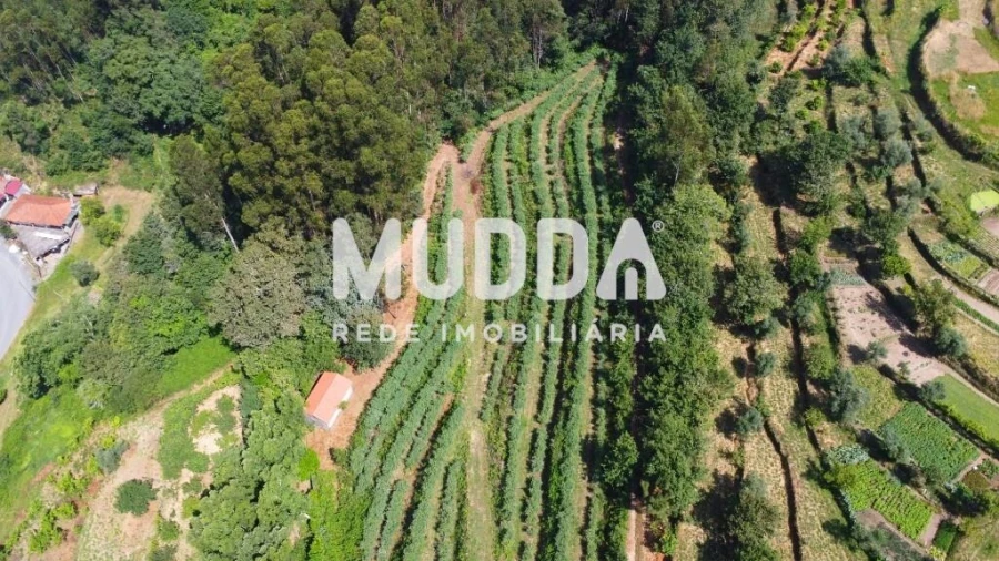 Negócio para Trespasse em Rocas do Vouga Foto 8