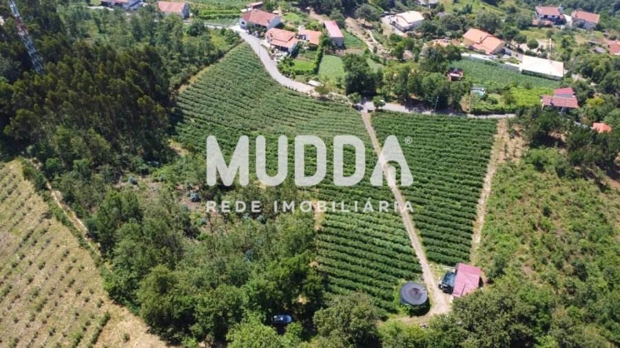 Negócio para Trespasse em Rocas do Vouga Foto 5