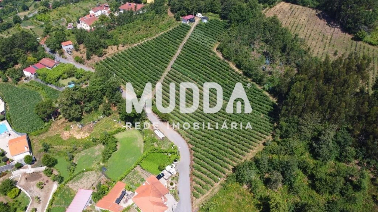 Negócio para Trespasse em Rocas do Vouga Foto 1