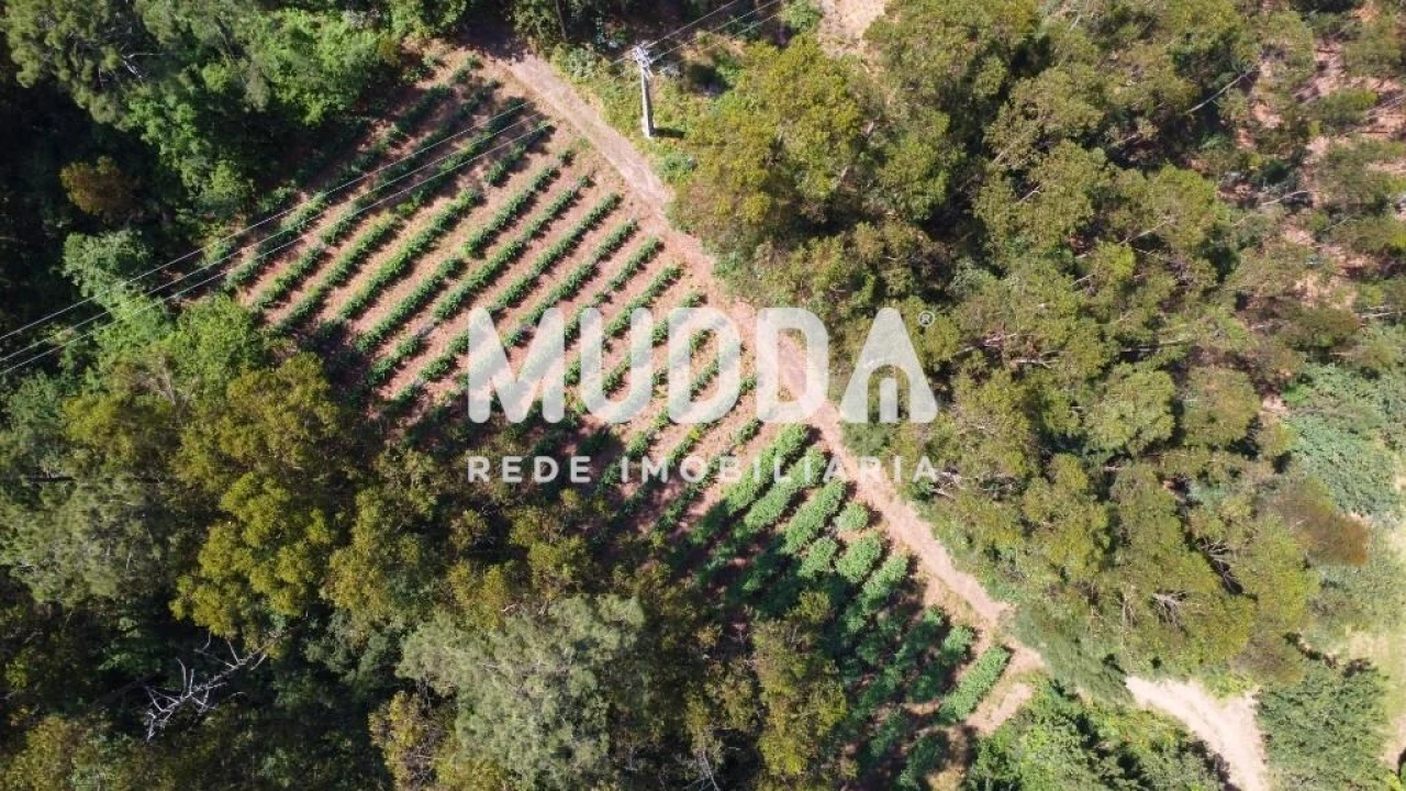 Negócio para Trespasse em Rocas do Vouga Foto 10