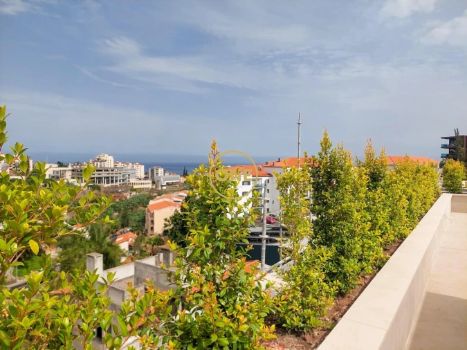 Apartamento T2 para Venda em São Martinho Foto 3