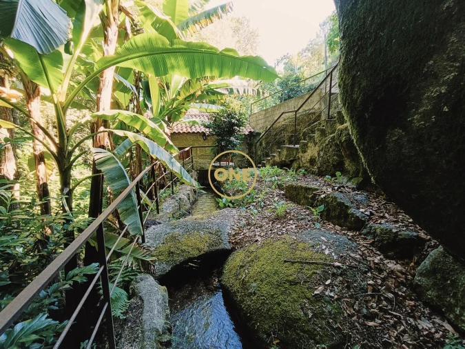 Moradia T3 para Venda em Valdreu Foto 29