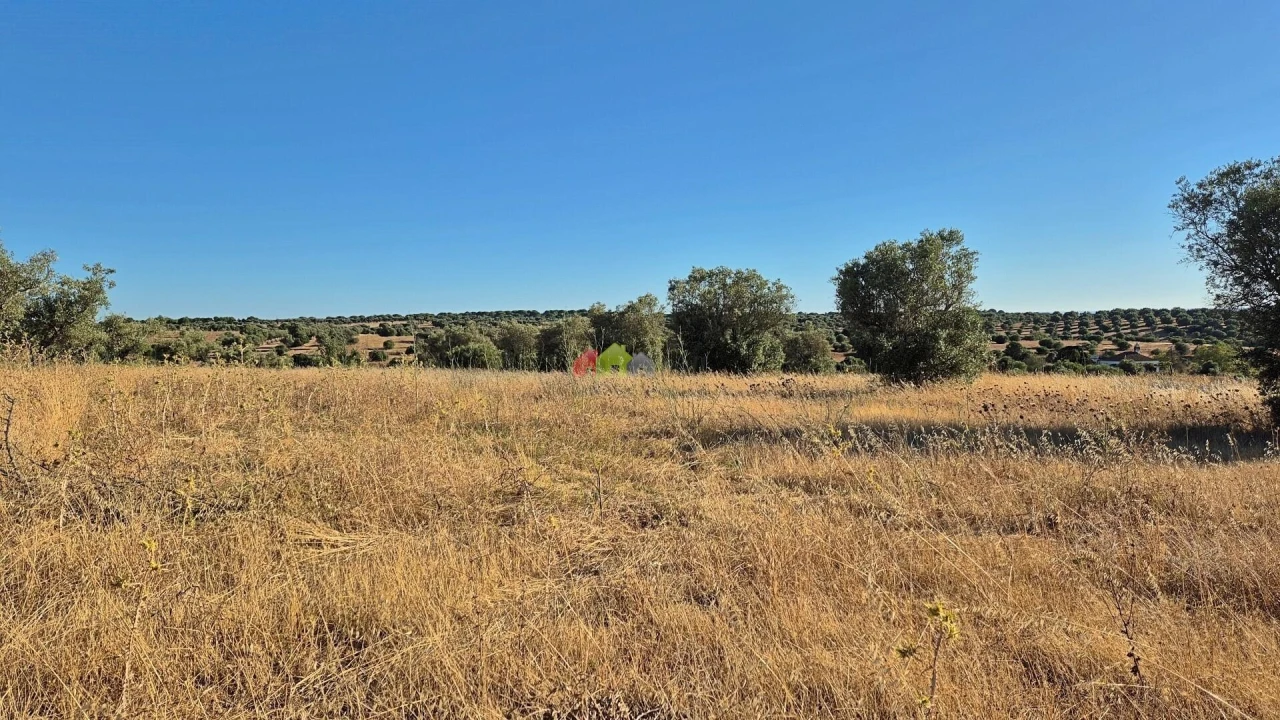 Quinta T1 para Venda em Torrão Foto 25
