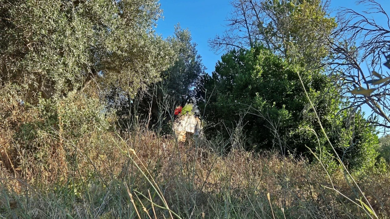 Quinta T1 para Venda em Torrão Foto 13