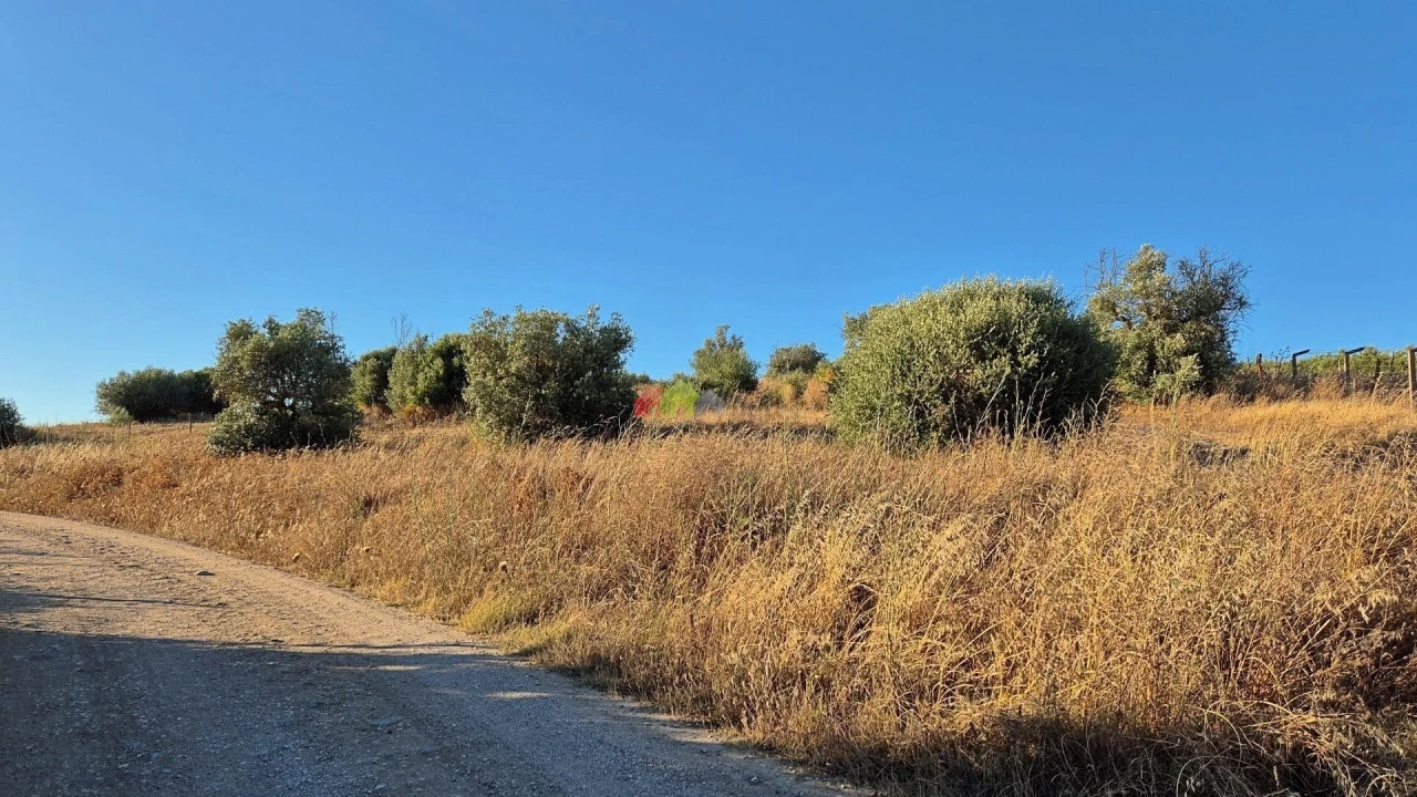 Quinta T1 para Venda em Torrão Foto 1