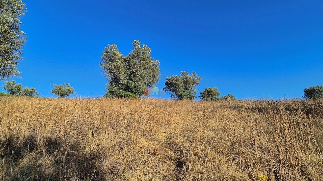 Quinta T1 para Venda em Torrão Foto 7