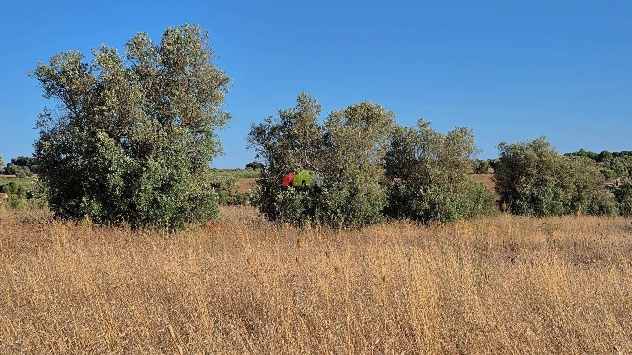 Quinta T1 para Venda em Torrão Foto 5