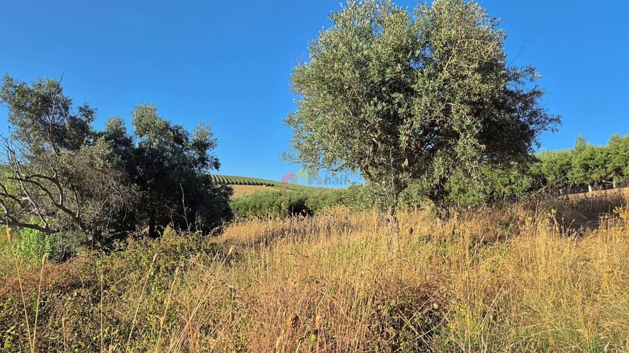 Quinta T1 para Venda em Torrão Foto 20