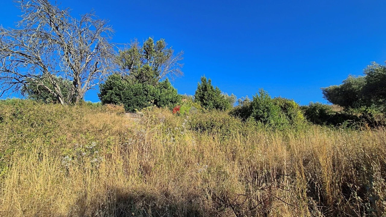 Quinta T1 para Venda em Torrão Foto 17