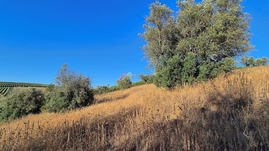 Quinta T1 para Venda em Torrão Foto 8