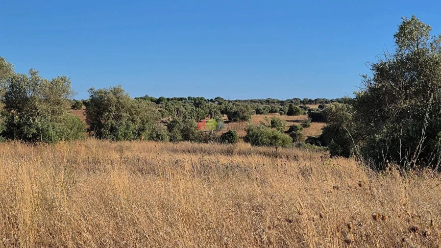 Quinta T1 para Venda em Torrão Foto 4