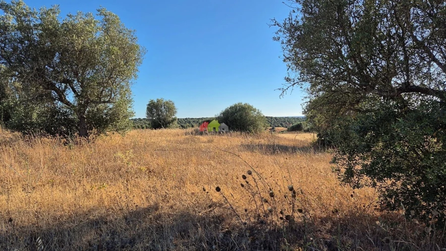 Quinta T1 para Venda em Torrão Foto 22