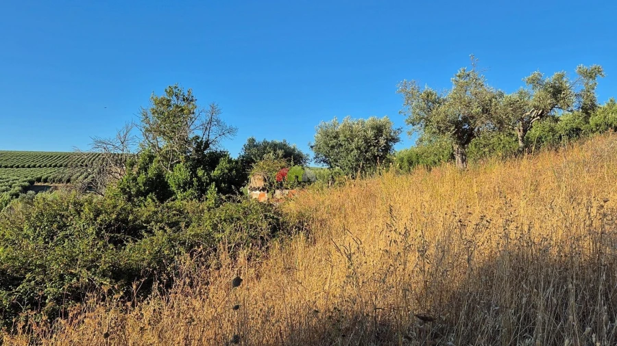 Quinta T1 para Venda em Torrão Foto 11