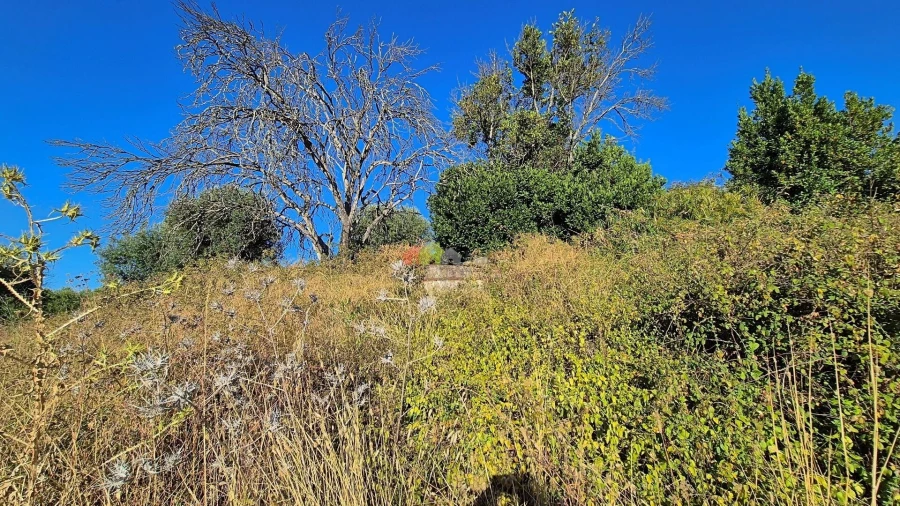 Quinta T1 para Venda em Torrão Foto 16