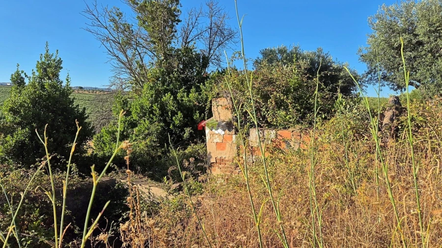 Quinta T1 para Venda em Torrão Foto 18