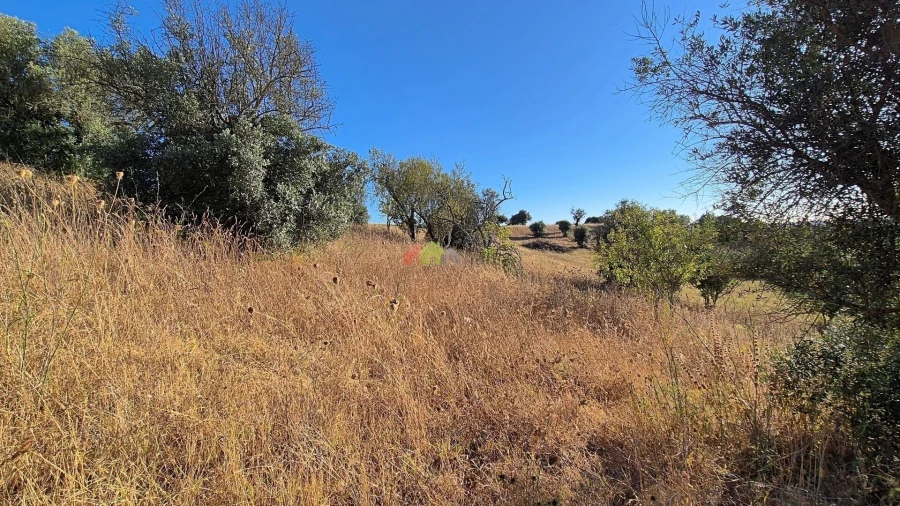 Quinta T1 para Venda em Torrão Foto 9